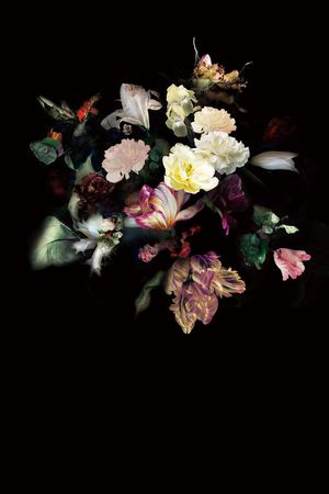 花卉印花花型图片