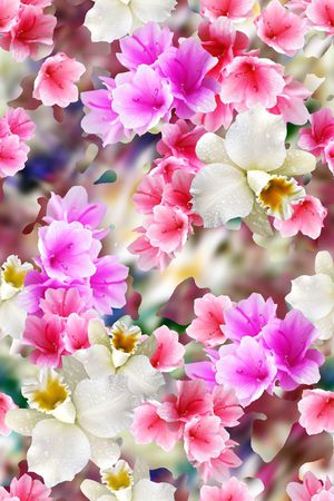 花朵印花花型图片
