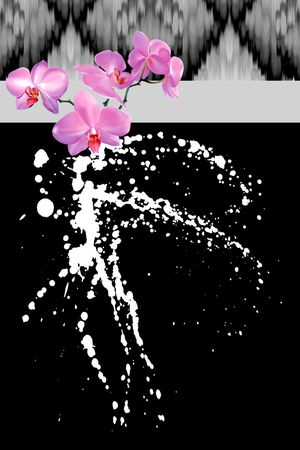 秋冬外套数码印花印花花型图片
