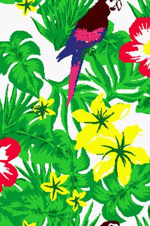 面料印花花型图片