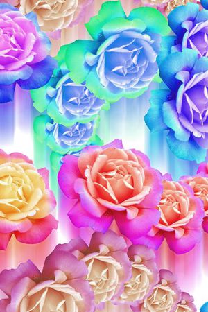 流行时尚印花花型图片