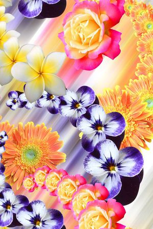 流行时尚印花花型图片