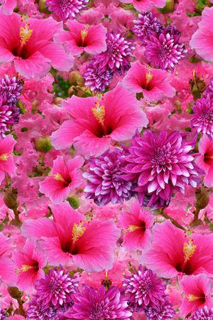 花卉印花花型图片