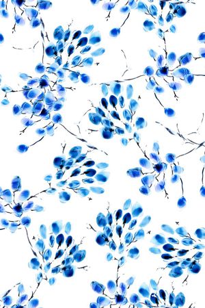 青花湛蓝印花花型图片