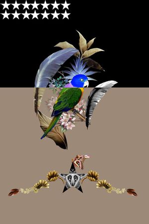 芭蕉印花花型图片