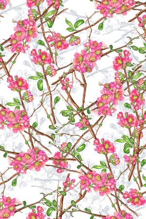 满花印花花型图片