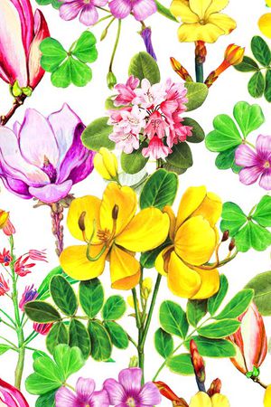流行时尚印花花型图片