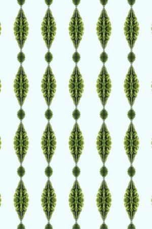 抽象印花花型图片