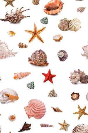 海底生物印花花型图片