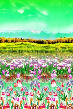 原创印花花型图片