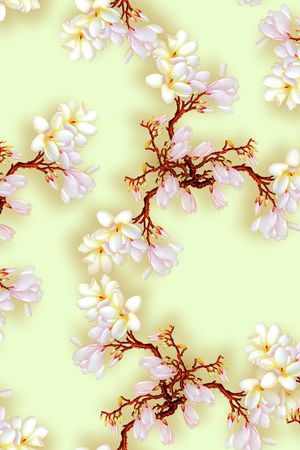 花朵印花花型图片