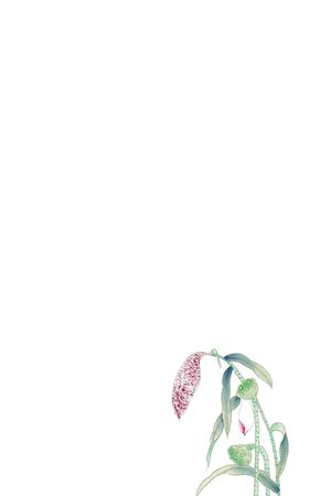 数码定位印花花型图片