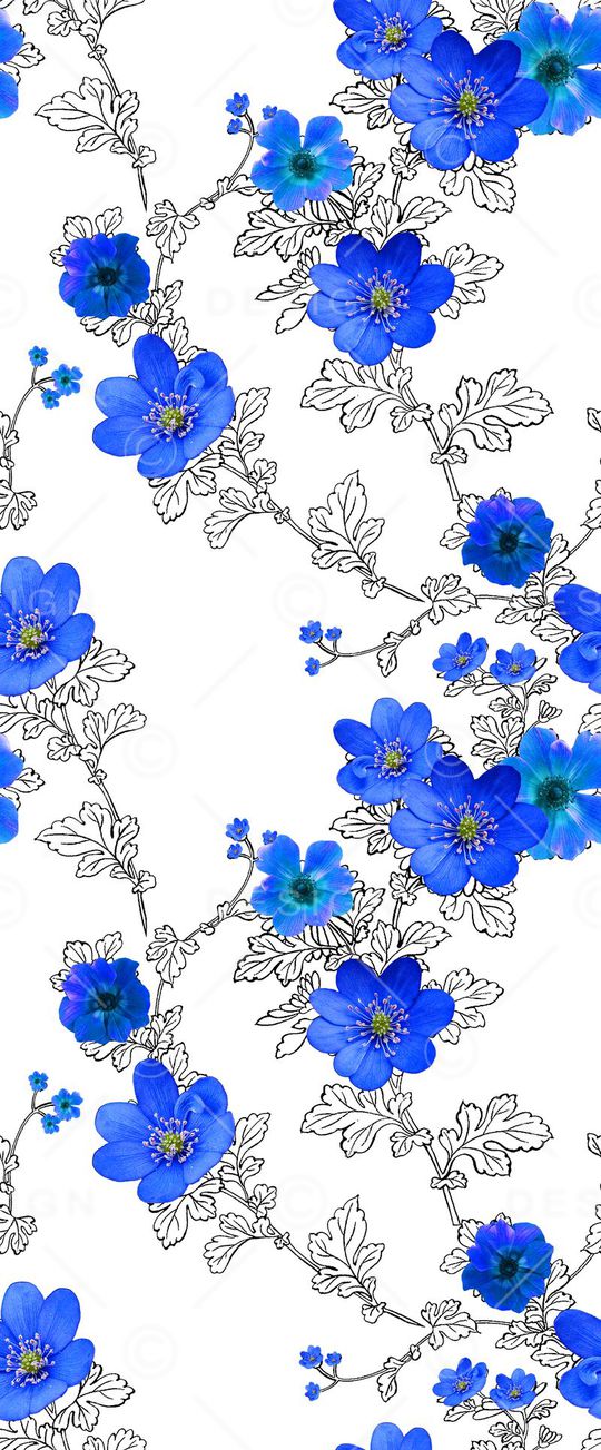 流行时尚印花花型图片