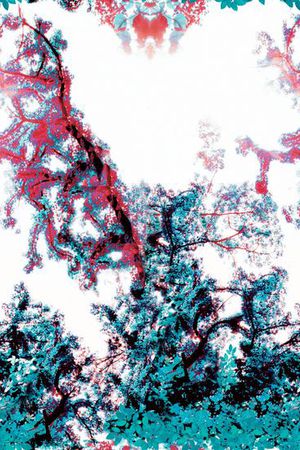 原创印花花型图片