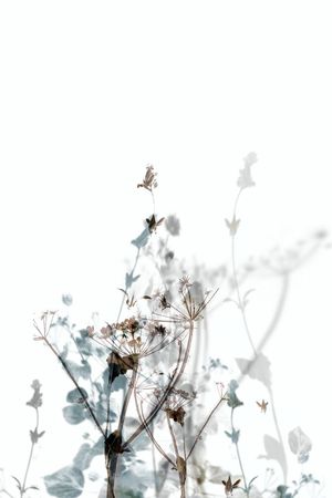 时尚休闲印花花型图片