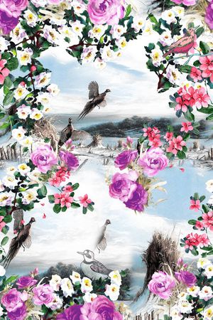 女装印花花型图片