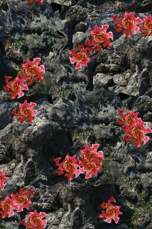 潮流印花花型图片