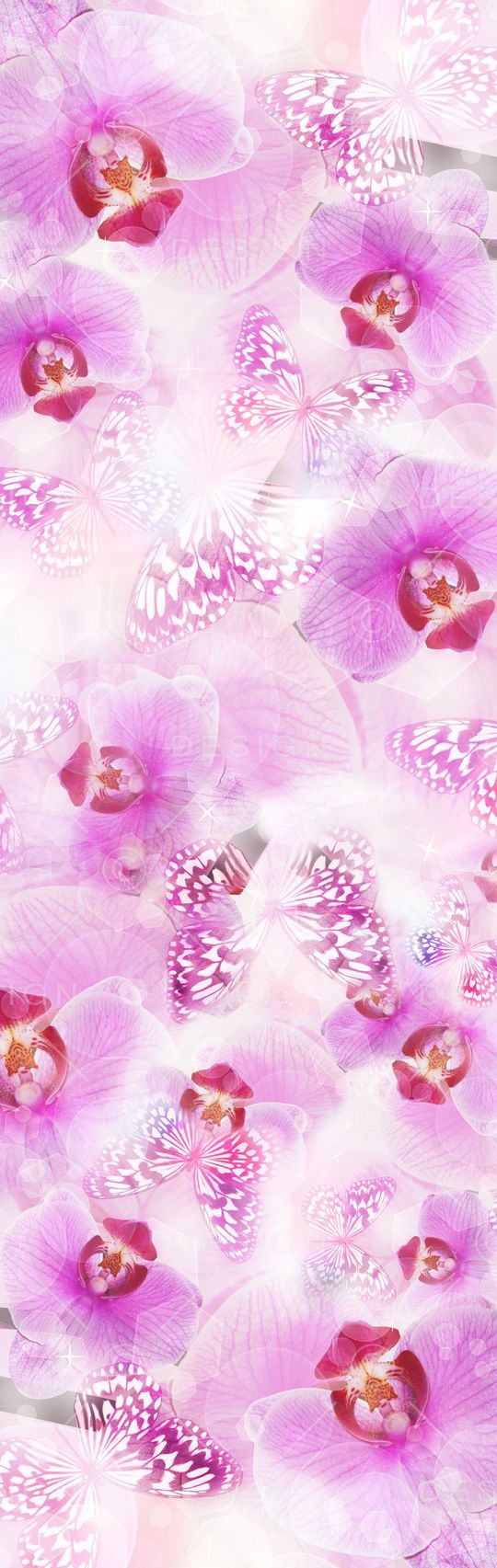 数码定位印花花型图片