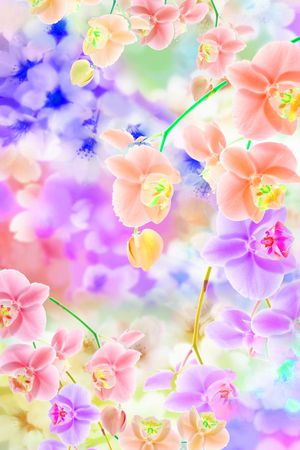 梦幻印花花型图片