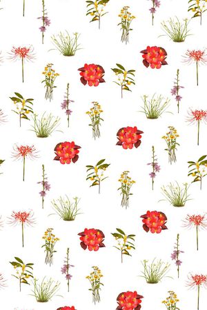 花卉印花花型图片