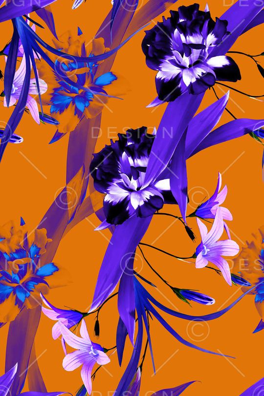 秋冬印花花型图片