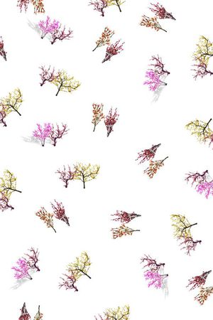 创意印花花型图片