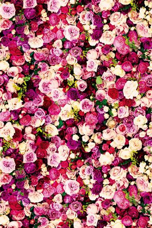 彩绘 花瓣 花卉 花絮 花朵 花蕾 树叶 叶子 百花齐开印花花型图片