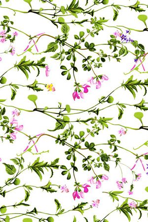 现代印花花型图片