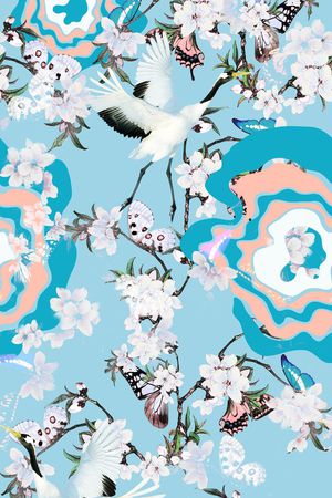 女装印花花型图片