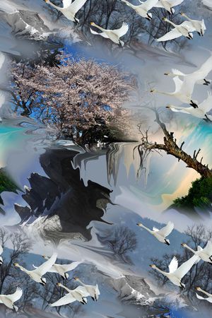 清雅印花花型图片