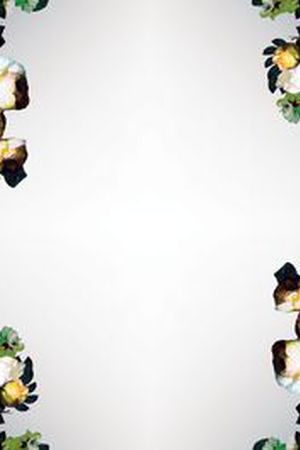 原创印花花型图片