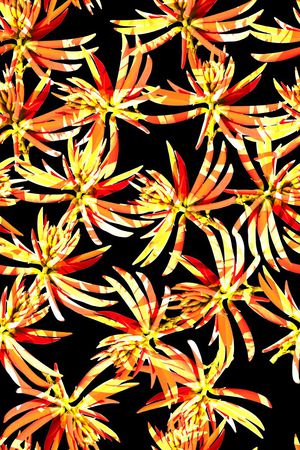 时尚印花花型图片