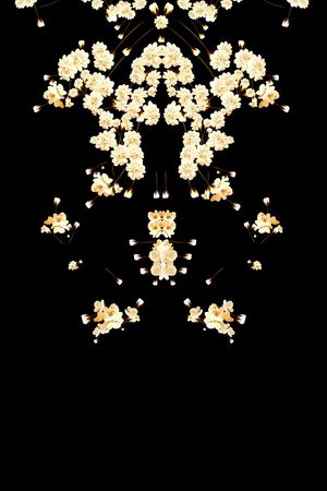 Givenchy印花花型图片