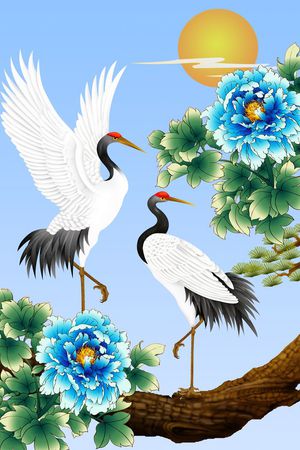 女装印花花型图片