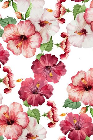 百合花印花花型图片