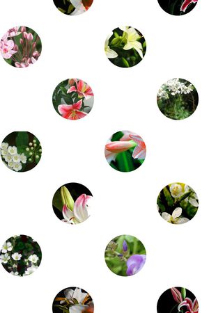 花卉印花花型图片