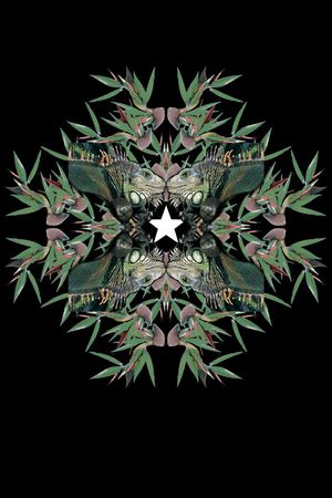 Givenchy印花花型图片