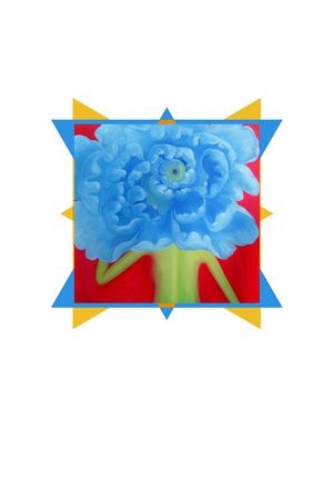 t恤花型印花花型图片