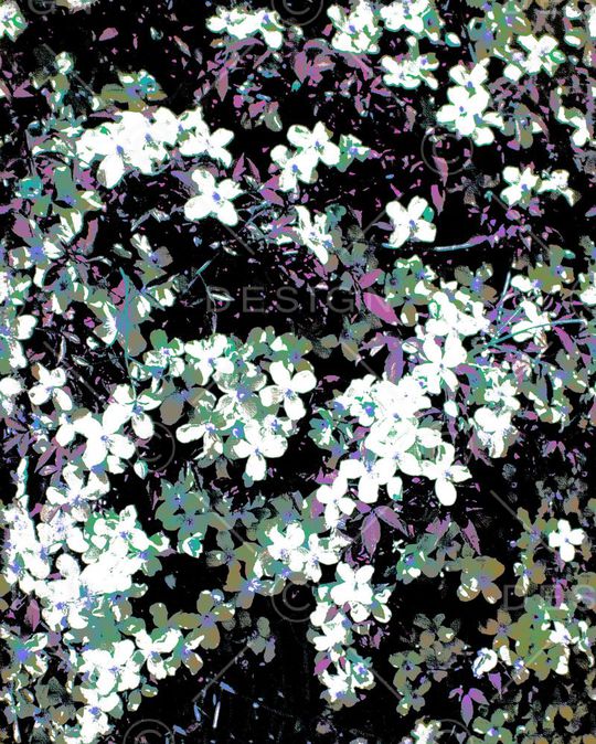 版画印花花型图片