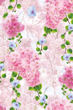 1色印花花型图片