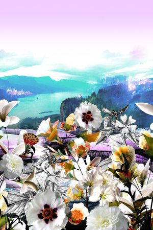 定位印花花型图片