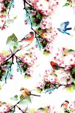 女装印花花型图片