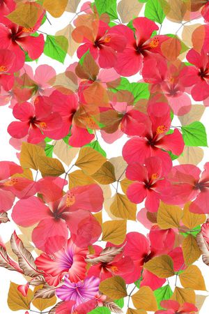 花卉印花花型图片