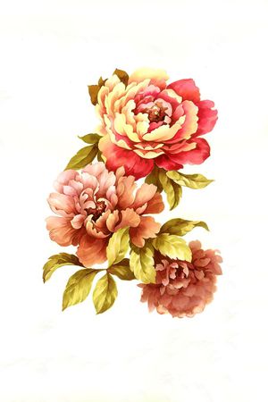 大花印花花型图片