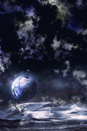 外星印花花型图片