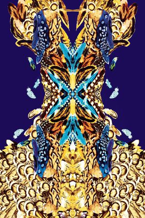 原创印花花型图片