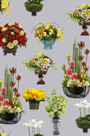 牡丹印花花型图片