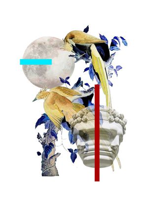 流行时尚印花花型图片