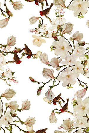 玉兰花印花花型图片