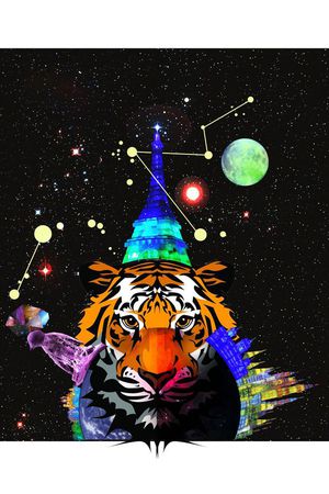 时尚印花花型图片
